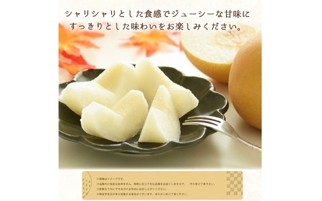紀州和歌山産の梨 2kg 化粧箱入 ※2026年8月中旬頃〜2026年9月上旬頃に順次発送 ※日付指定不可 梨 なし ナシ 果物 くだもの フルーツ 甘い【uot788】