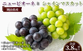 ぶどう 【2026年 先行予約】 ニュー ピオーネ 2房と シャインマスカット 4房(合計3.8kg以上) マスカット ブドウ 葡萄 岡山県産 国産 フルーツ 果物 ギフト