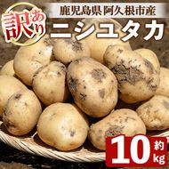 訳あり！じゃがいも ニシユタカ(10kg) 国産 鹿児島県産 阿久根市産 じゃがいも ジャガイモ 芋 ポテト にしゆたか 訳アリ 野菜 ポテトサラダ コロッケ 常温 常温配送 【慶越農園】akn107-07