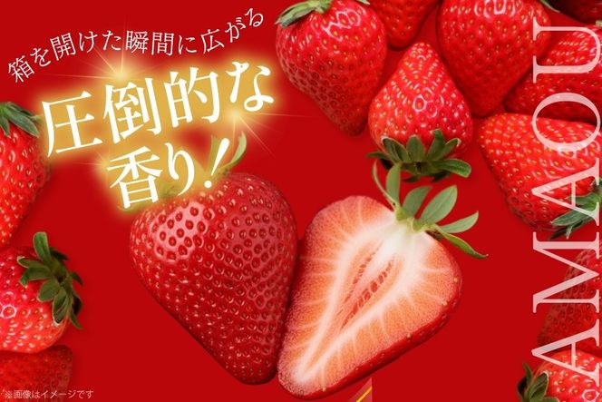 いちご あまおう 先行予約 約250g × 2P 3月上旬 5月中旬 【2027年発送】 [一千也フーズ 福岡県 宇美町 um40azp140006] 苺 イチゴ フルーツ ストロベリー 甘い あまい 季節限定 期間限定 2027