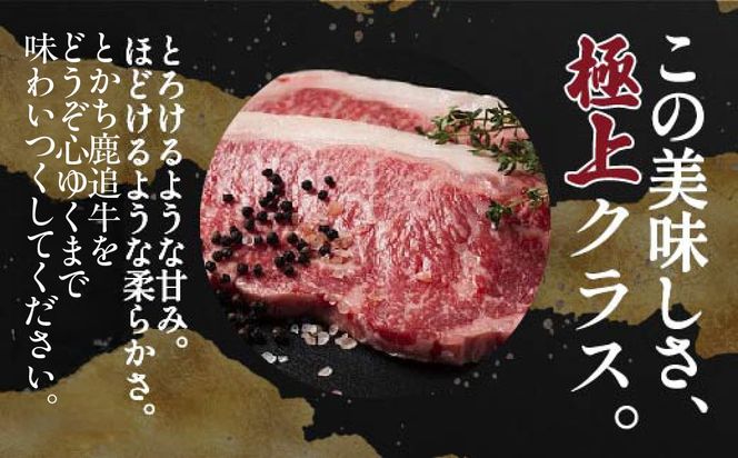 とかち鹿追牛ロースステーキ（とかち鹿追牛Dセット） 225g×2 SKA008