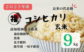 【令和7年産】四万十市産 コシヒカリ 玄米 9kg 栽培期間中農薬・ 化学肥料・除草剤不使用 国産 こしひかり 2025年産 米 こめ コメ ご飯 高知 四万十 しまんと 農家直送 蕨岡の百姓 福留壯 オーガニック 25-0016