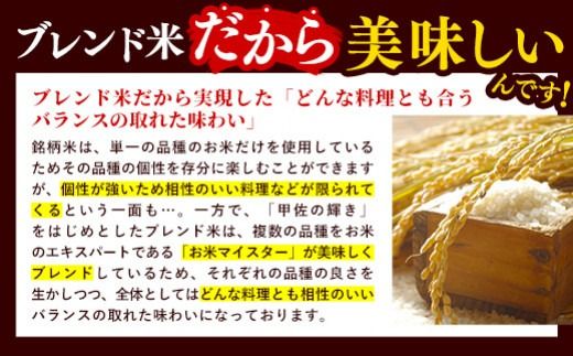 【先行受付】新米 令和7年産『甲佐の輝き』精米10kg（5kg×2袋）【2025年10月より配送月選択可！】- 国産 白米 精米 お米 ブレンド米 複数原料米 訳あり 厳選 マイスター 生活応援 ひのひかり 森のくまさん おすすめ 熊本県 甲佐町【価格改定XJ】