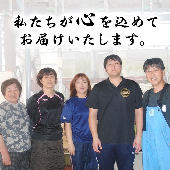 【0104347a-2609】＜9月上旬発送予定＞東串良町のうなぎ蒲焼(無頭)(2尾・計約300g・タレ、山椒付) うなぎ 高級 ウナギ 鰻 国産 蒲焼 蒲焼き たれ 鹿児島 ふるさと 人気【アクアおおすみ】