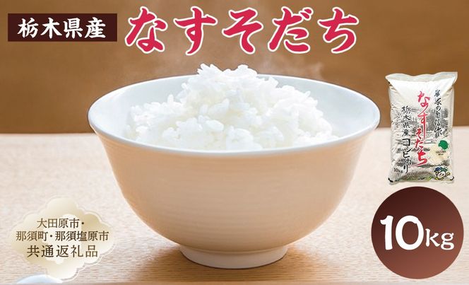 ns005-002-10 【大田原市・那須塩原市・那須町共通返礼品】＜米＞令和7年産 栃木県産 コシヒカリ なすそだち 10ｋｇ ＪＡなすの産地直送