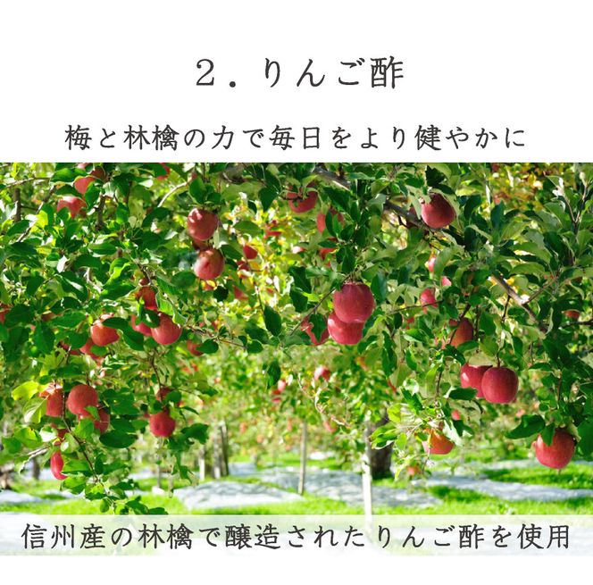 【梅干し 紀州南高梅 はちみつ】 無添加 訳あり はちみつ梅干 1kg（500×2） 紀州梅香 / 塩分6％ 和歌山 梅干し 紀州南高梅 南高梅 梅干 梅 うめ 肉厚 お米 おにぎり 焼酎【baiko001A】