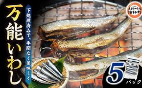 万能いわし 8匹 (約160g～180g) × 5袋 下処理済み