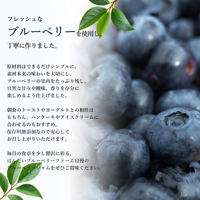 ブルーベリー　ジャムセット