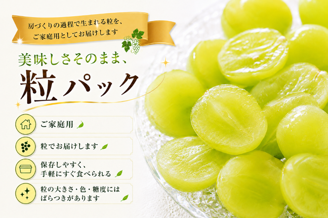 【2026年発送】先行予約 シャインマスカット 粒 1kg 500g×2 ご家庭用 山梨県産 【山梨県笛吹市 産地直送】ぶどう フルーツ 果物 209-010-26y