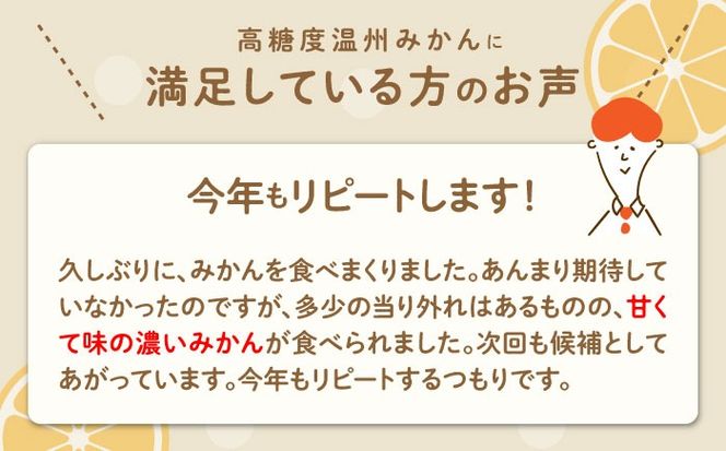 【2024年11月下旬〜発送】【高糖度】 温州みかん 約10kg / みかん 南島原市 / 南島原果物屋 [SCV012]