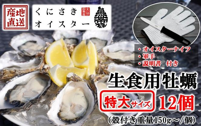 牡蠣 生食用 殻付き くにさきオイスター 特大サイズ12個（殻付き重量150g～/個）　【オイスターナイフ付き】 カキ oyster 生牡蠣_2361R-2