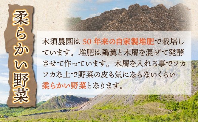 【 2026年 発送 】 先行予約 北海道 玉ねぎ かぼちゃセット 約20kg M-L混合 北はやて ダークホース タマネギ たまねぎ 玉葱 玉ネギ オニオン カボチャ 南瓜 伊達野菜 産地直送 サラダ 肉じゃが 煮物 木須農園 送料無料