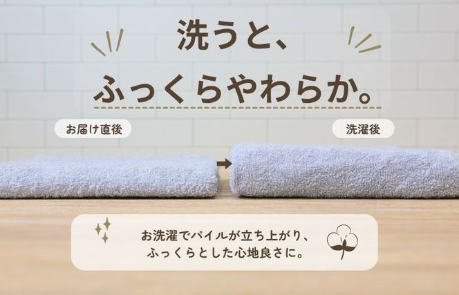 015B695 デイリーフェイスタオル 10枚セット (ライトグレー）【国内製造 日本製 泉州タオル スーピマコットン 無地 吸水力 耐久性】