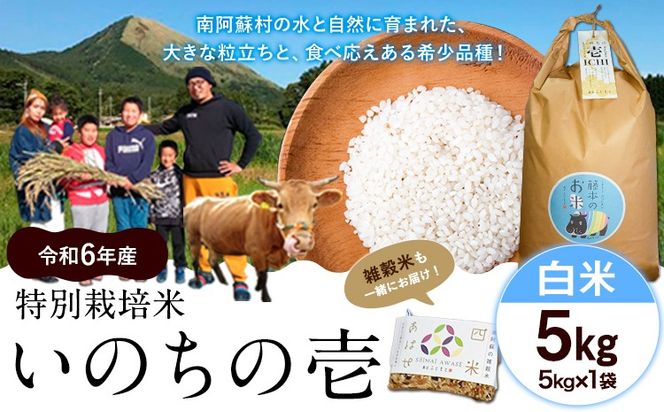 新米 令和6年産 特別栽培米 いのちの壱(白米)5kg×1 雑穀米付き《30日以内に出荷予定(土日祝除く)》 熊本県 南阿蘇村 熊本県産 虹色のかば 白米 雑穀米---sms_inci6_30d_24_14500_h5kg---