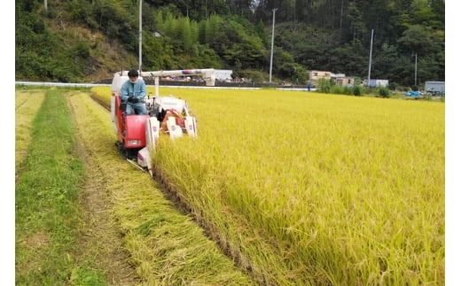 米 令和5年産 南三陸町産 ひとめぼれ めぐりん米 ( 白米 ) 10kg [南三陸さんさんマルシェ 宮城県 南三陸町 30ai0008] お米 ご飯 ごはん コメ こめ 家庭用