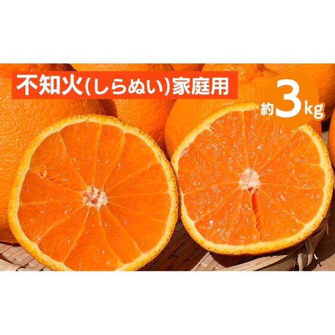 和歌山産　不知火 約3kg【家庭用】 ※2026年2月上旬～4月下旬頃より順次発送予定