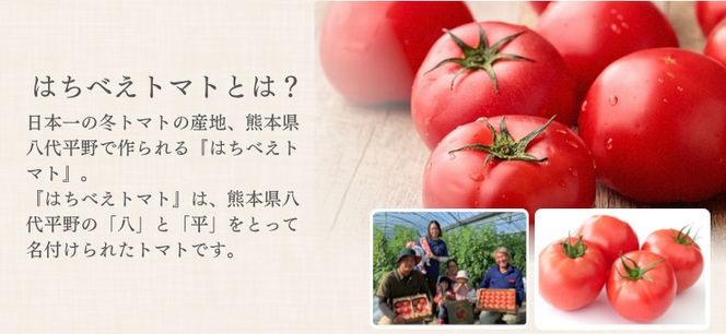 トマトポタージュ 10食セット《熊本県 はちべえトマト 使用》｜スープ ポタージュ レトルト 野菜スープ 無添加 無着色 砂糖不使用 常温保存 ヘルシー 低カロリー スープ 国産 野菜 ローリングストック レトルト食品 お取り寄せ 非常食 保存食 [2517]