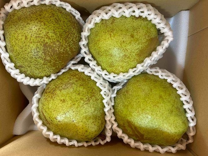 【2026年発送分】【やまなしフルーツ定期便（２回）】 シャインマスカット ～ 1kg以上（2-3房）＆ラ・フランス（1.5kg以上・３-５玉）　定期便　果物 フルーツ くだもの シャイン 洋ナシ 洋梨 洋なし 山梨 やまなし 富士川町