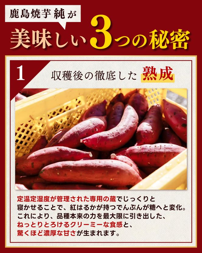 【人気返礼品】鹿島焼芋 純 3kg （1.5kg×2箱）【冷蔵 冷やし 焼き芋 やきいも さつまいも 芋 お菓子 おやつ デザート スイーツ 和菓子 和スイーツ 鹿嶋市 茨城県】（KBK-13-2）