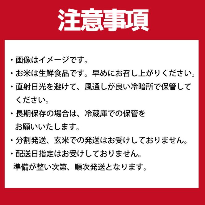 【数量限定】 令和7年産 米 あきたこまち 10kg ( 5kg × 2袋 )|お米 茨城県 行方市(HA-12)