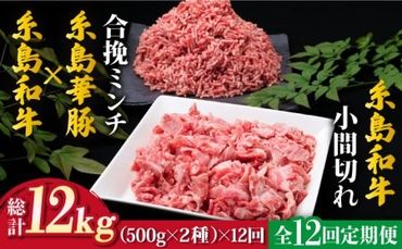 [全12回定期便]糸島和牛小間切れ500g & 糸島和牛糸島豚合挽ミンチ 500g 合計1kg[糸島][糸島ミートデリ工房] 