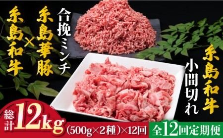 【全12回定期便】糸島和牛小間切れ500g ＆ 糸島和牛糸島豚合挽ミンチ 500g 合計1kg《糸島》【糸島ミートデリ工房】 [ACA239]