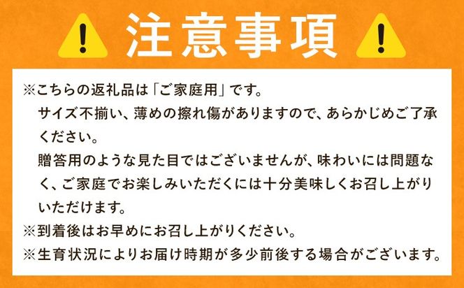 みかん ご家庭用 柑橘 極早生 極早生みかん 手選別 選べる 2S-2Lサイズ混合 3S・2Sサイズ混合 1.5kg 4.5kg 6kg 8kg 10kg 森本農園《10月上旬-11月上旬頃出荷》和歌山県 日高町 柑橘類 フルーツ 家庭用 ミカン お取り寄せフルーツ【配送不可地域あり】---wsh_mnn24_10j11j_26_6000_1500g---