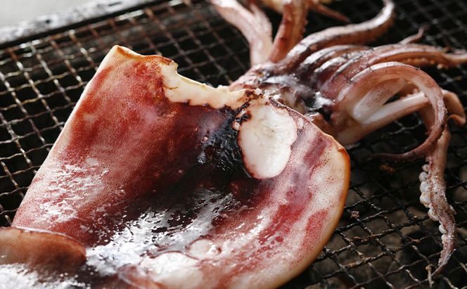 柔らか肉厚のスルメイカ一夜干し 3枚 魚貝類 イカ いか スルメイカ お酒 つまみ 特大 新鮮 保存 冷凍 国産 送料無料 酒の肴 酒のつまみ 