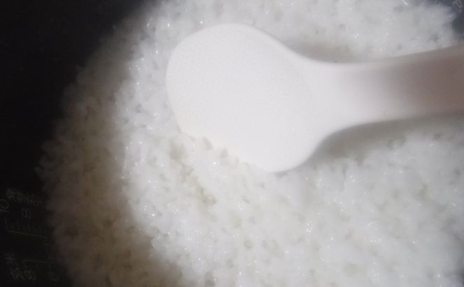 米 5kg 季節野菜 セット 精米 ゆめつくし お米 詰合せ 