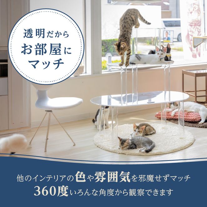 アクリル製キャットタワー3段［149F01］