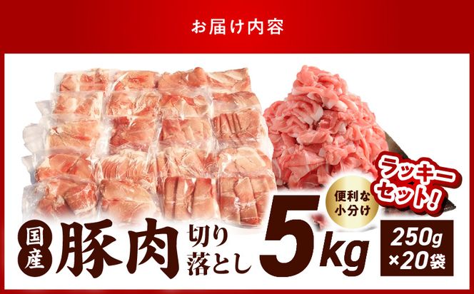 国産豚肉切り落とし5kgラッキーセット_19-3601_(都城市) 国産 豚肉 切り落とし 250g×20袋 5kg 豚肉 小分け お弁当 サラダ しゃぶしゃぶ 料理 アレンジ
