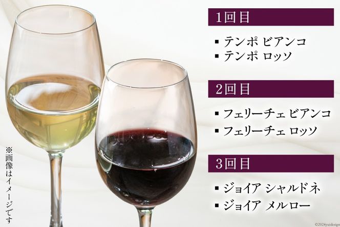 定期便 白 赤 ワイン 飲み比べ セット 各回 750ml × 2本 全3回 計 6本 [Poggio Verde（ポッジョ ヴェルデ） 長野県 池田町 48110709] わいん ワインセット 赤白 セット