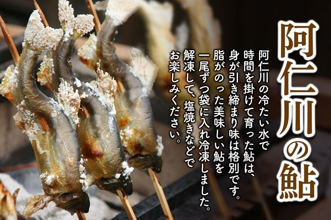 冷凍 鮎 10本 個包装【あゆ 小分け 魚 焼き魚 焼魚 川魚 バーベキューに】|arac-00009