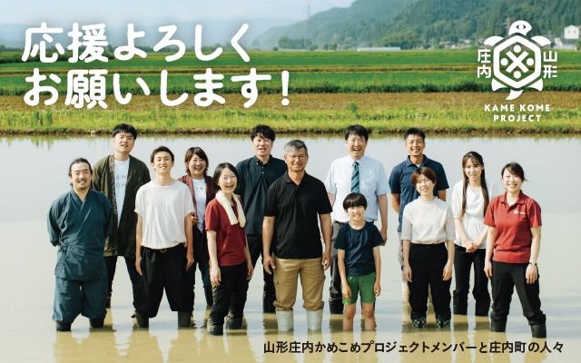 山形庄内かめこめプロジェクト 亀の尾せんべい 80g×6袋 つぶつぶ食感 煎餅 米菓 おやつ お菓子