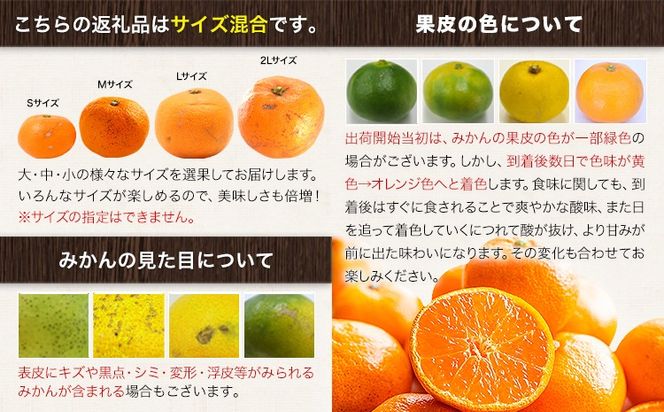 みかん 訳あり くまもとみかん 約1.5kg 約4.5kg 約9kg S-2Lサイズ サイズ混合 ご家庭用《7-14日以内に出荷予定(土日祝除く)》 訳あり みかん フルーツ サイズ混合 秋 旬 柑橘 熊本県 長洲町 熊本県産 長洲町産含む---ng_wkmkn_wx_4500_15k---