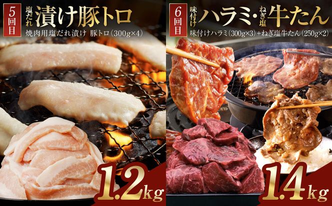 099Z609 アキラ商店 肉三昧 プレミアム 定期便 全6回【毎月配送コース お楽しみ 焼肉 ていきびん 焼くだけ 小分け BBQ やきにく 数量限定】