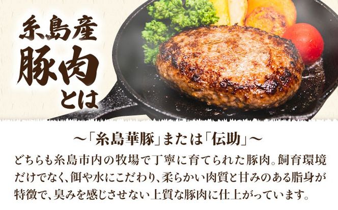 【人気セット】A4ランク 博多 和牛 ヒレ肉 サイコロ ステーキ 300g / 博多和牛と糸島産豚肉入り手作り生ハンバーグ 130g × 3個 《糸島》 【糸島ミートデリ工房】 [ACA052] 国産 冷凍 ランキング 上位 人気 おすすめ