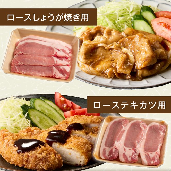 宮崎県産 豚肉 4種盛り合わせ N0217-YA6614