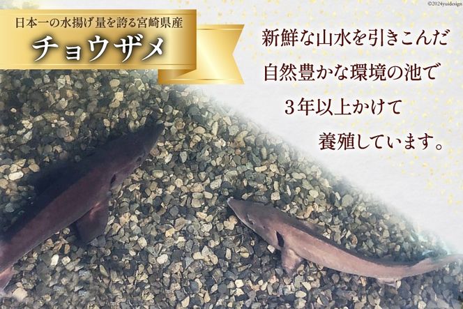 美郷 キャビア チョウザメ 10g [宮崎キャビア 宮崎県 美郷町 31az0010] きんかん キンカン 金柑 フレーバー 冷凍 宮崎県産