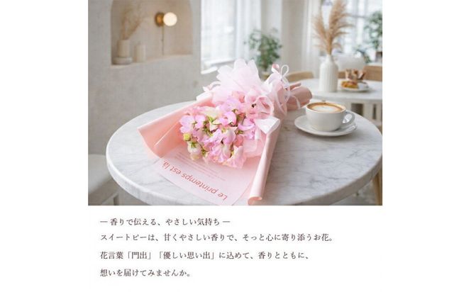 春色スイートピー 春のお花 スイートピー ピンク系 花束 門出 誕生日 結婚 ウエディング ギフト お祝い プレゼント 花 フラワー 送別会 退職祝い 結婚記念日 送別 香り 春の花 272230_BG096