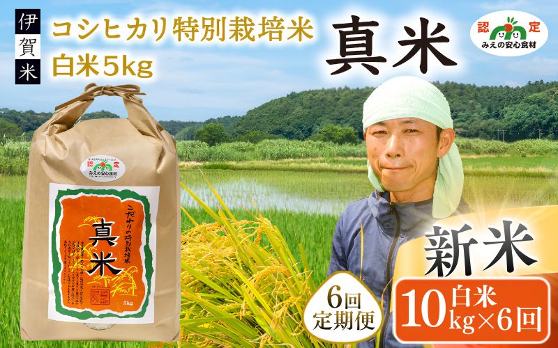 伊賀米コシヒカリ 令和8年産 特別栽培米「真米」白米10kg×6回お届け定期便[ymnk-tkb0004]