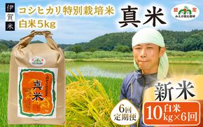 伊賀米コシヒカリ 令和8年産（12月末まで）特別栽培米「真米」白米10kg×6回お届け定期便【ymnk-tkb0004A】