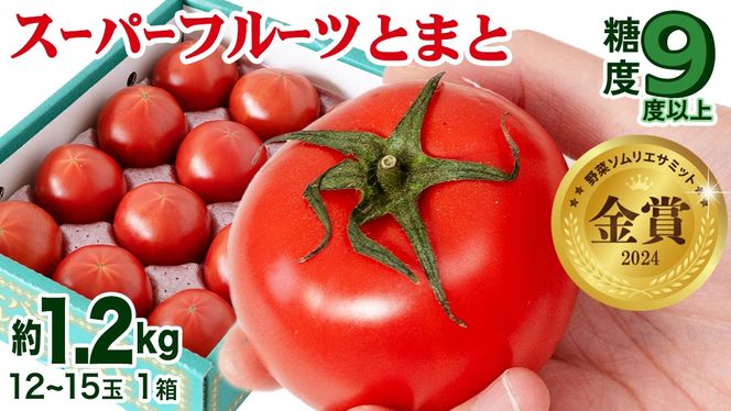 スーパーフルーツトマト 中箱 約1.2kg × 1箱 【 大玉 12～15玉/1箱】 2026年産 糖度9度 以上 トマト とまと フルーツトマト フルーツ 野菜 やさい 高糖度 [AF001ci]