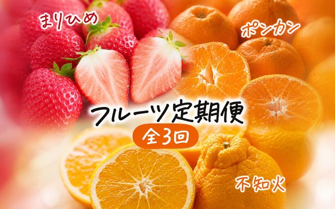【発送月固定定期便】紀州和歌山産旬のフルーツセット(いちご4P・ポンカン・紀州デコ約5kg)全3回 【tkb450】