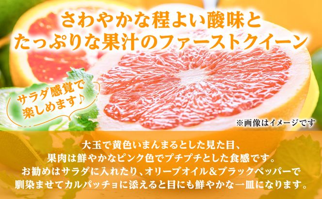 【先行予約】ファーストクイーン 2玉 サラダ感覚 熊本県 八代市産 みかん チャンドラポメロ ザボン 早生文旦 わせぶんたん ボンタン 【2026年10月下旬より順次発送】