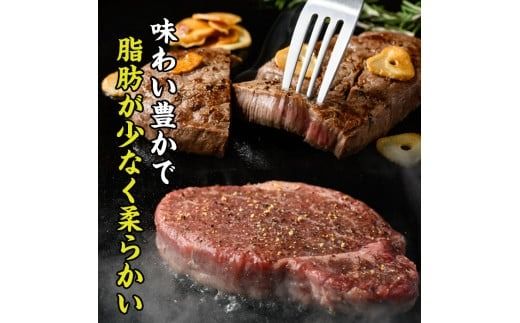 ＜ 冷蔵 真空包装 ＞ おおいた 和牛 ヒレ ステーキ (5枚) 国産 ステーキ 牛肉 豊後牛 ブランド牛 BBQ バーベキュー 肉 焼肉 ヒレ肉 チルド 希少部位 惣菜 大分県 佐伯市【BD311】【西日本畜産 (株)】