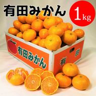 有田みかん 1kg (約9個～10個) DJ031