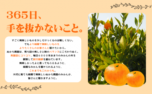 濃厚な味わい ご家庭用 ゆら早生みかん　約4kg　サイズ混合 希少品種《有機質肥料100％》※2026年10月～11月に順次発送予定【nuk162B】
