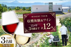 ワイン 収穫体験＆ワインセット 12本 ファミリー 3名様まで 参加券 ワイナリー [本坊酒造マルス穂坂ワイナリー 山梨県 韮崎市 20745175]