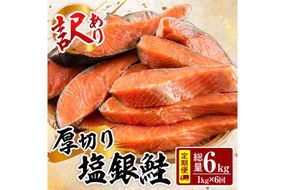 【定期便・全6回(連続)】訳あり 厚切り 塩 銀鮭 切り身(総計6kg・1kg×6回)  銀さけ しゃけ さけ サケ 切身 塩鮭 塩焼き 焼き魚 おかず お惣菜 簡易包装 冷凍 厚切 【YS-7】【株式会社安田】